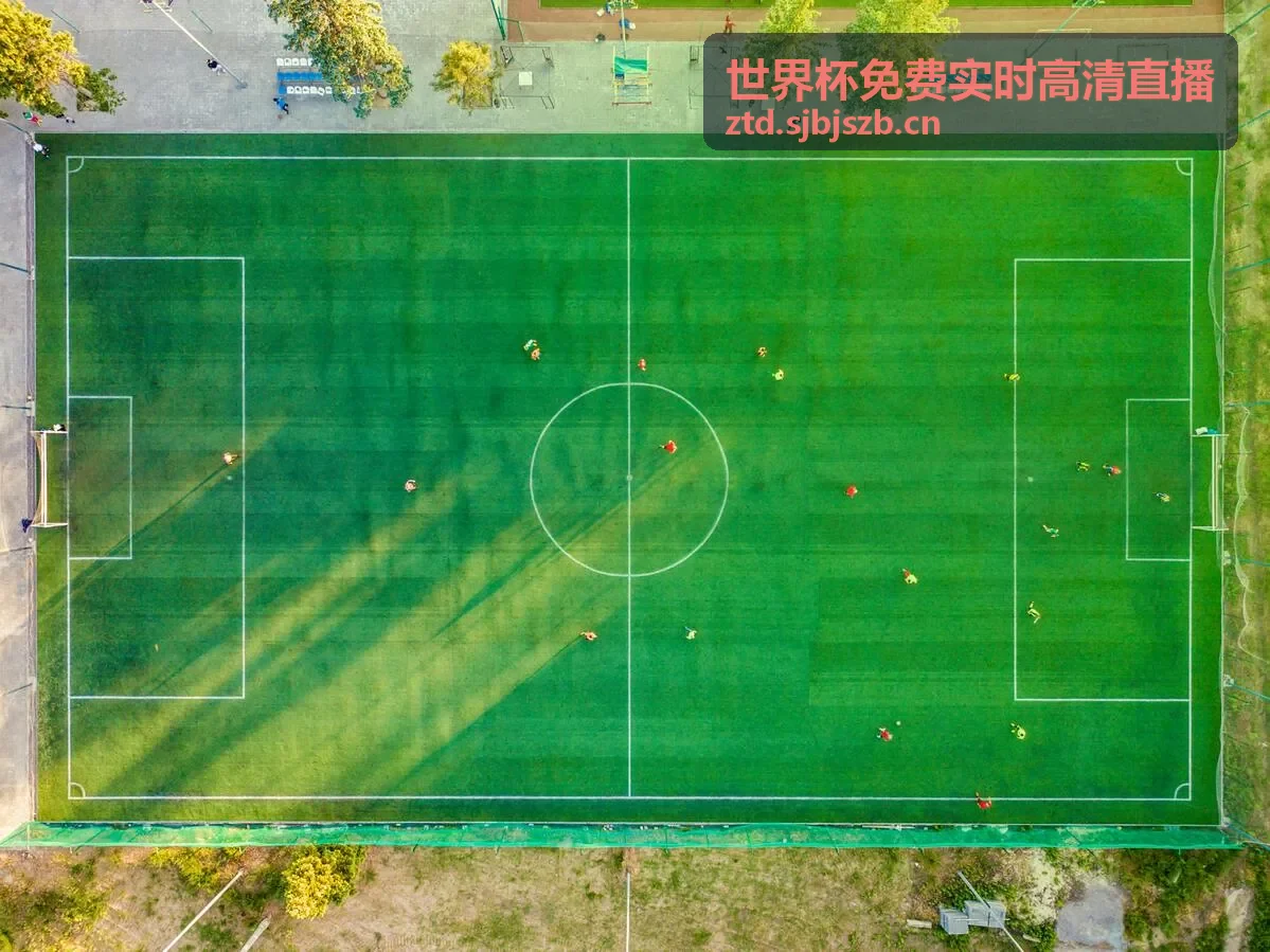 世界杯免费实时高清直播精彩对决