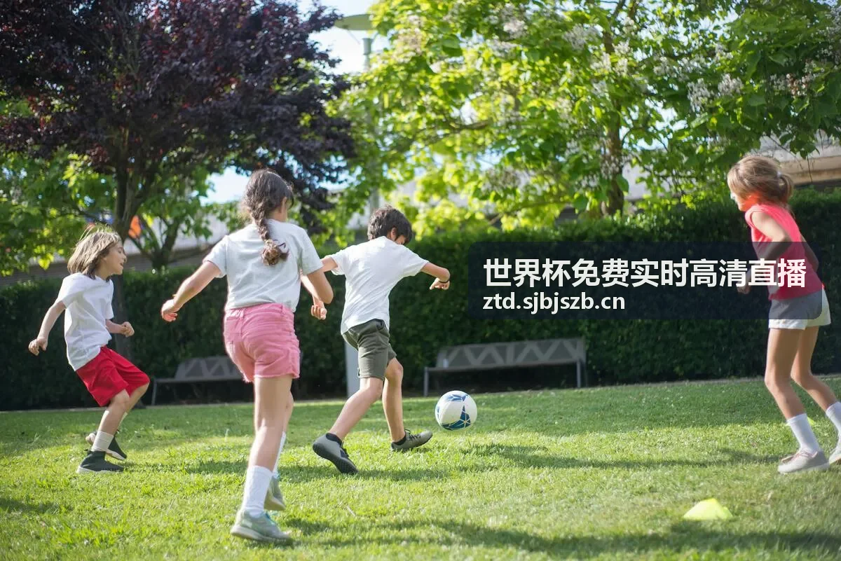 世界杯免费实时高清直播赛事直播画面